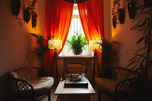 room Jungle